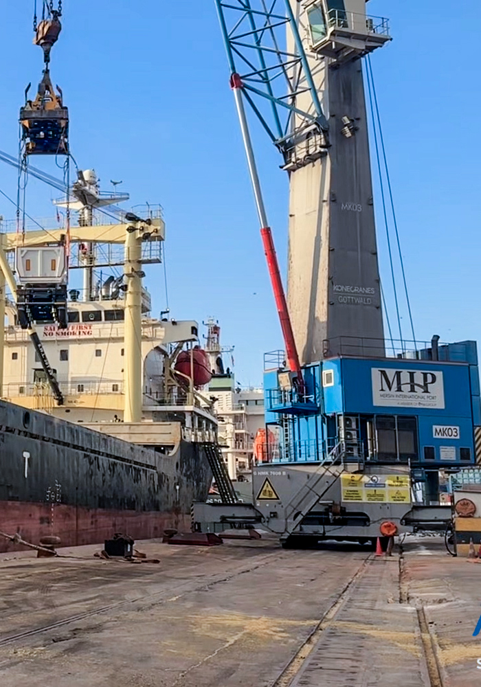 IMO / Tehlikeli Yük Taşımacılığı